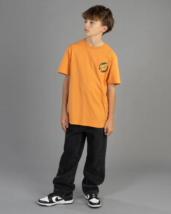 Santa Cruz Boys' Meek Scratched Slasher T-Shirt for Mens