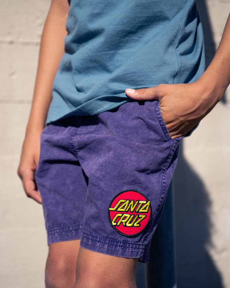 Santa Cruz Boys' Cruizer Beach Shorts for Mens