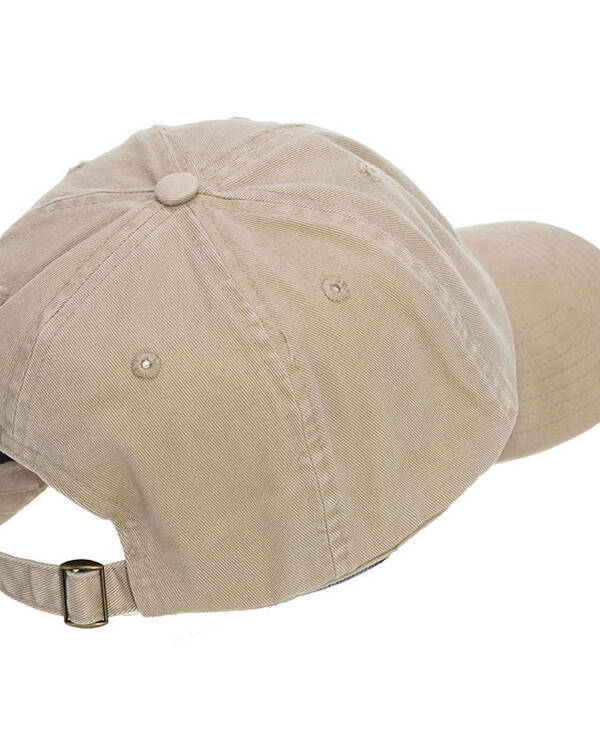 Stock Lo Pro Cap