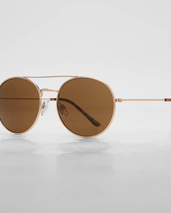 Transitive Sunglasses