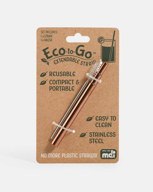 Eco Extendable Steel Straw