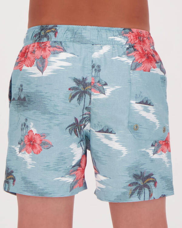 Dreamers Volley Board Shorts