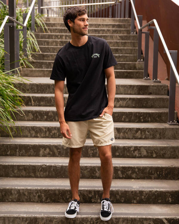 All Day Overdye Layback Board Shorts