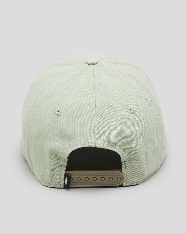 Tinted Dad Cap