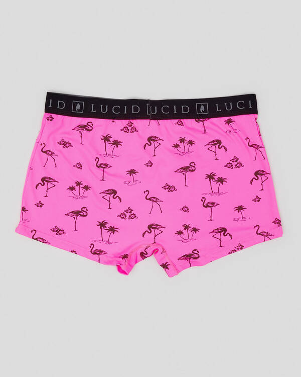 Voyage Boxers