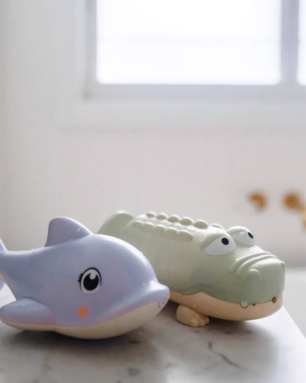 Dolphin Water Squirter