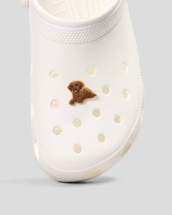 Brown Lab Puppy Jibbitz