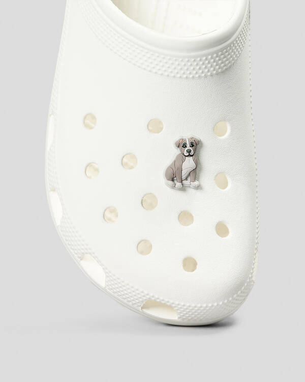 Pit Bull Puppy Jibbitz