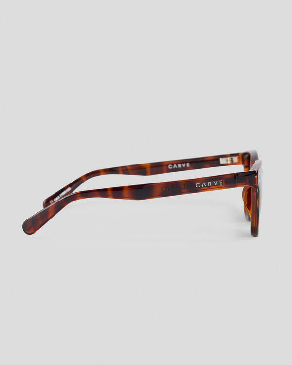 Homeland Polarised Sunglasses