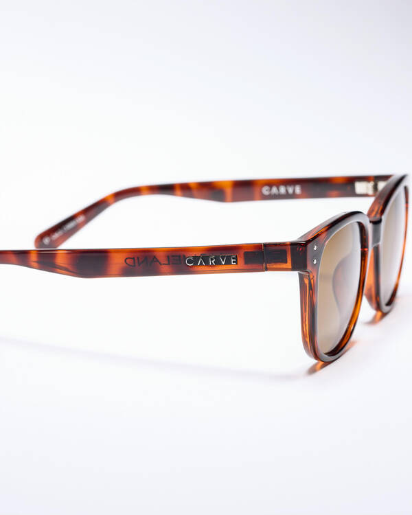 Homeland Polarised Sunglasses