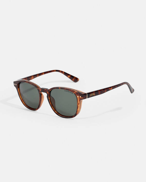 Phoenix Polarised Sunglasses