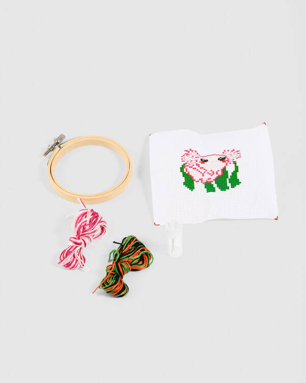 Axolotl Cross Stitch Embroidery Kit