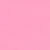 Pink Carnation