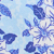 Ice Blue