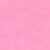 Pink Carnation