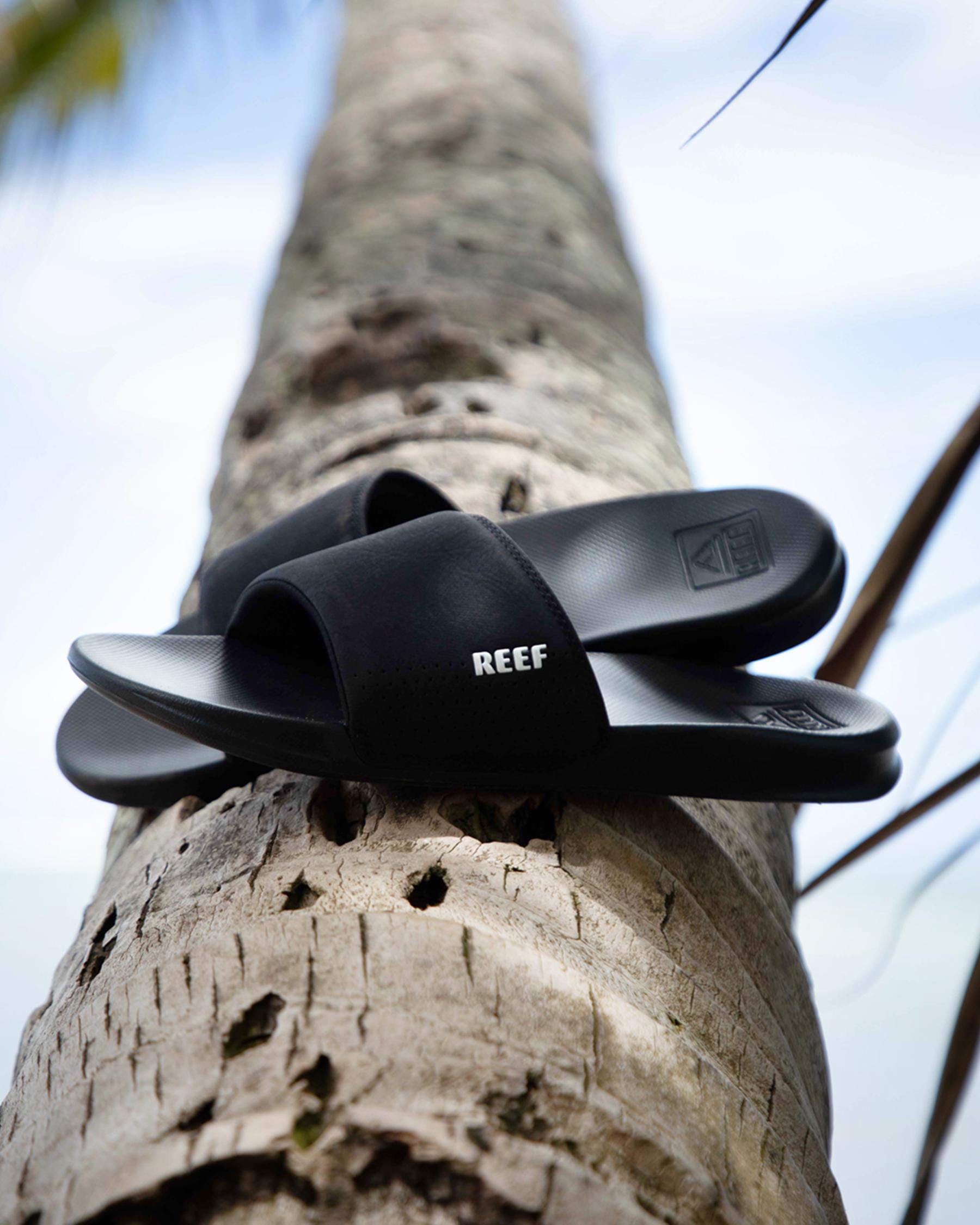 Reef One Slides In Black - Fast Shipping & Easy Returns - City Beach ...