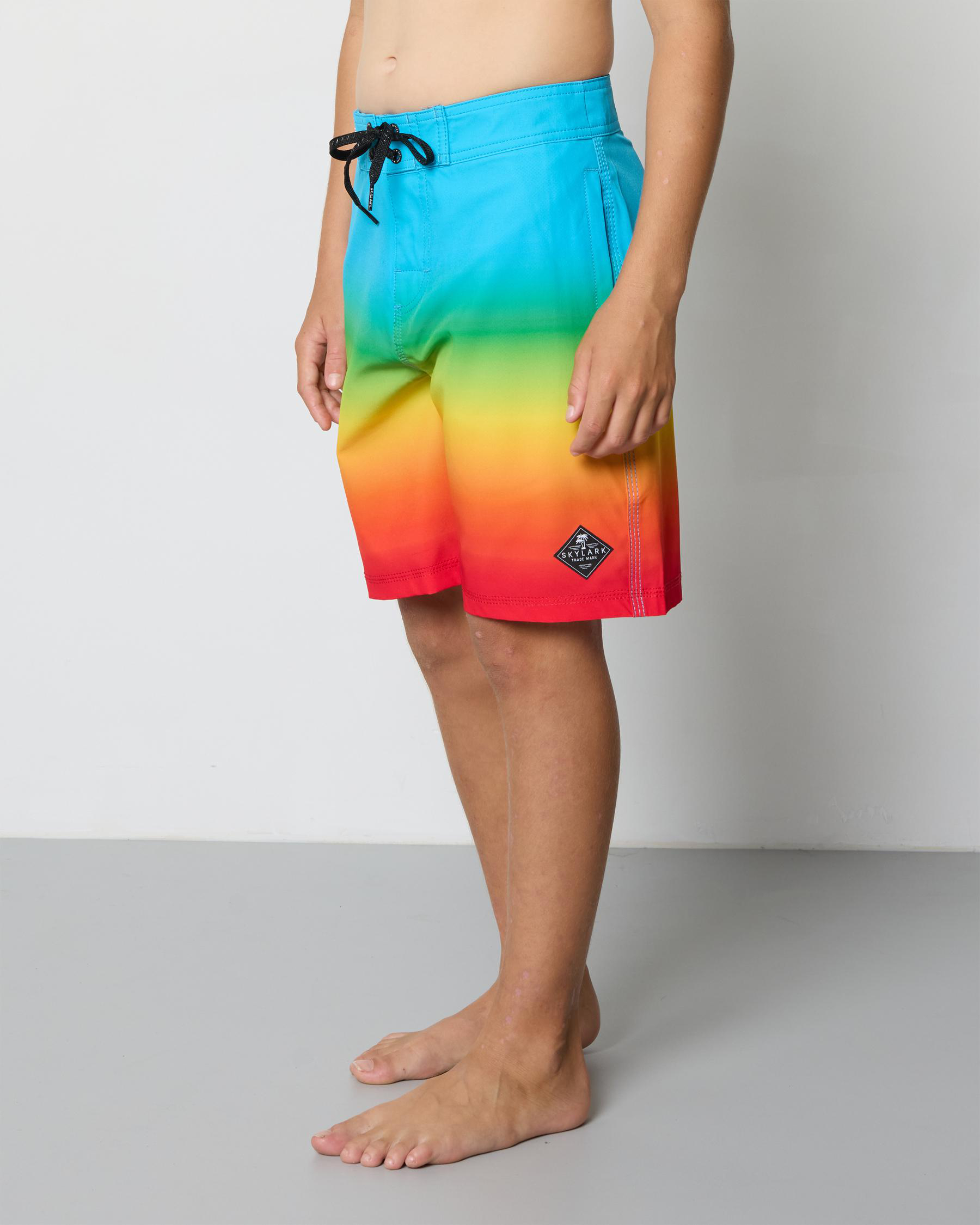 Colour Theory Board Shorts