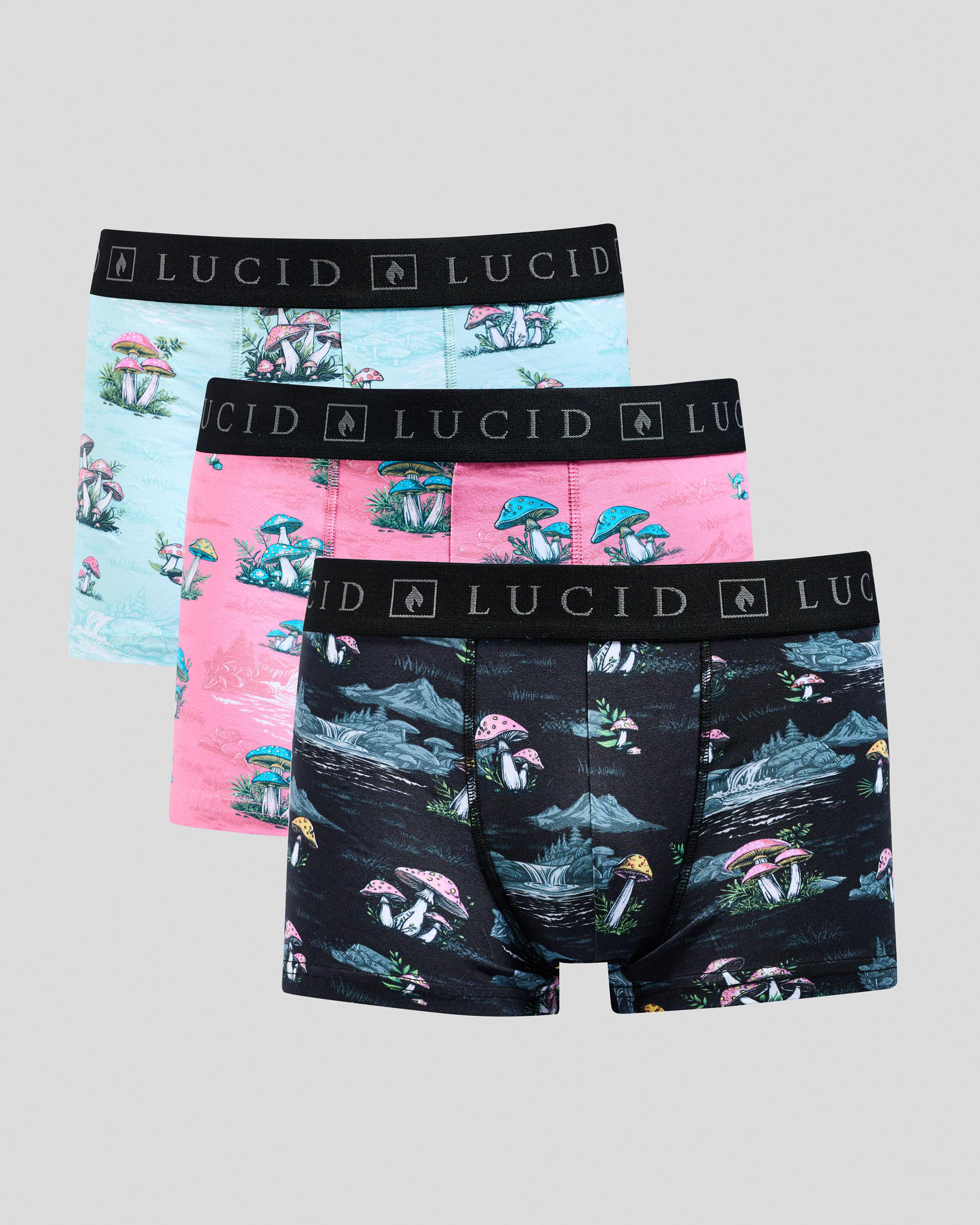 Organic Fitted Boxer Shorts 3 Pack