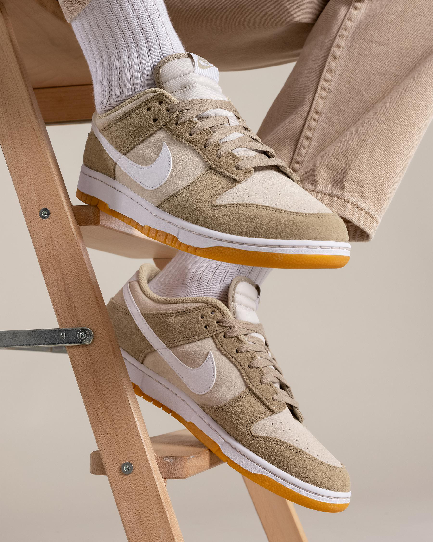 Dunk Low Retro SE Shoes