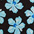 Espresso/blue