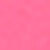 Pink Carnation