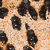 Leopard Print