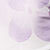 Cream/purple