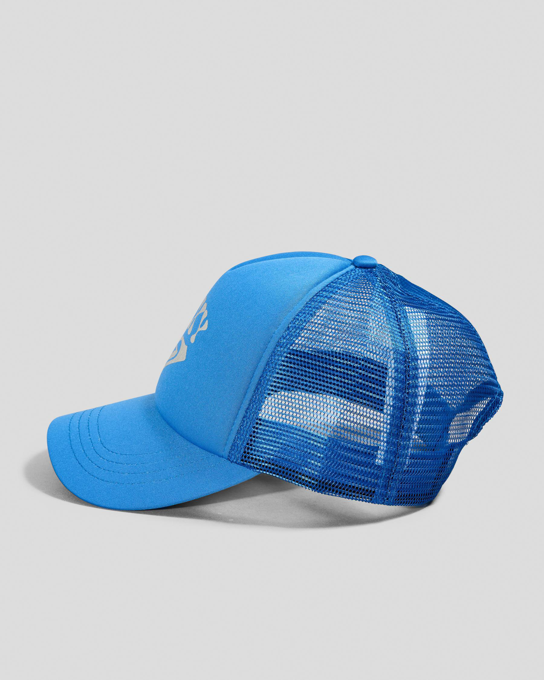 Shop Roxy Soulrocker Trucker Cap In Icy Morn - Fast Shipping & Easy