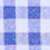 Navy Check