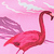 Bright Pink