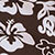 Choc/cream