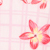 Pink/ Pink