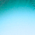 Evergreen Ombre