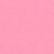 Pink Carnation