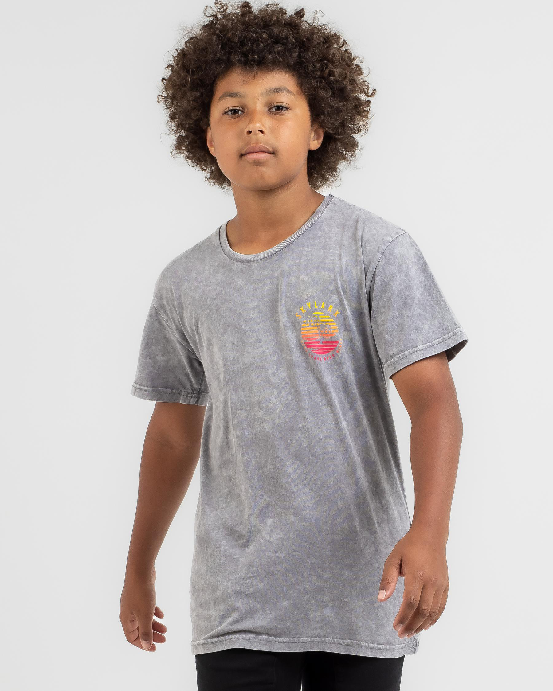 Shop Skylark Boys' Meander TShirt In Grey Acid Fast Shipping & Easy