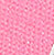 Pink Carnation Super Star