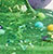Multi