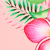 Peach Fuzz