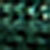 Fir/black/fir