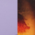 Amber Tort/grape Mono