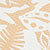 Ginger Root Suntrip Swim