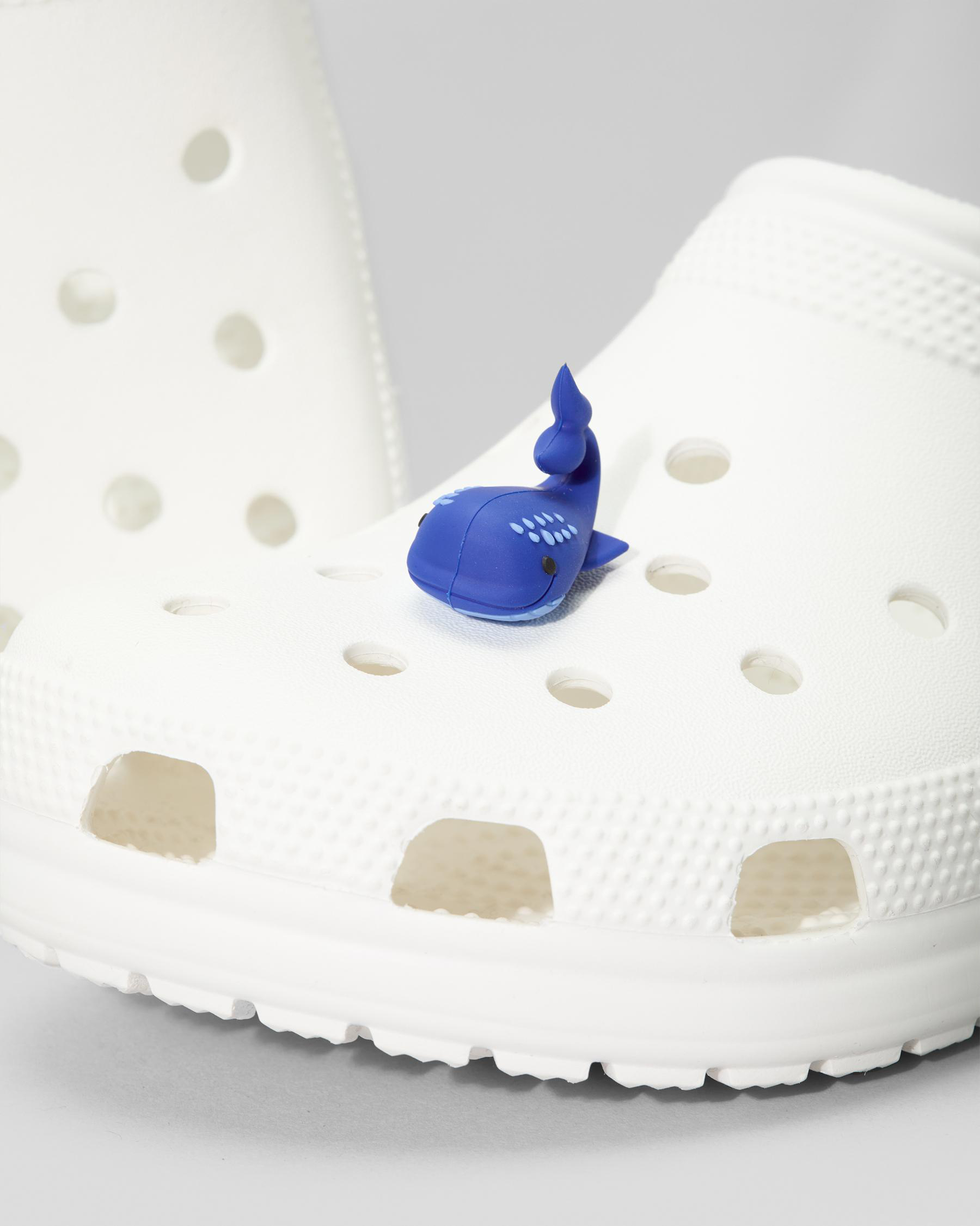 Shop Crocs 3d Whale Jibbitz In Multi Fast Shipping Easy Returns Shop Crocs 3d Whale Jibbitz In Multi Fast Shipping Easy Returns