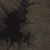 Black Mottle