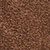 Brown/brown