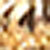 Gold/white