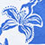 Blue/white