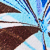 Choc/blue