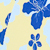 Butter/blue