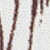 Cream/espresso