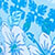Blue/blue